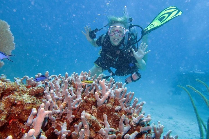 Scuba diving 